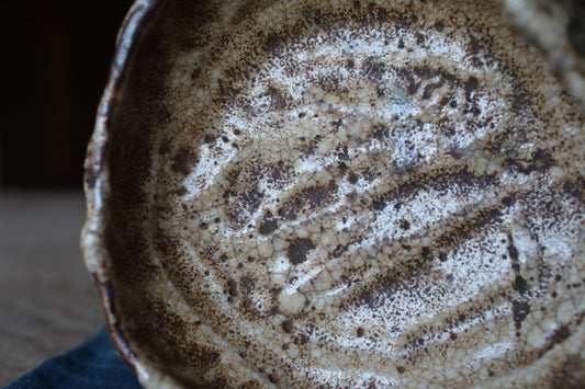 A close-up view of a textured ceramic bowl or dish with a speckled, speckled pattern.
