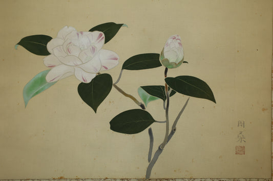 Vintage Japanese Watercolor Painting Peony flower signed : Camellia Kakejiku Scroll H69.3in/H176cm
