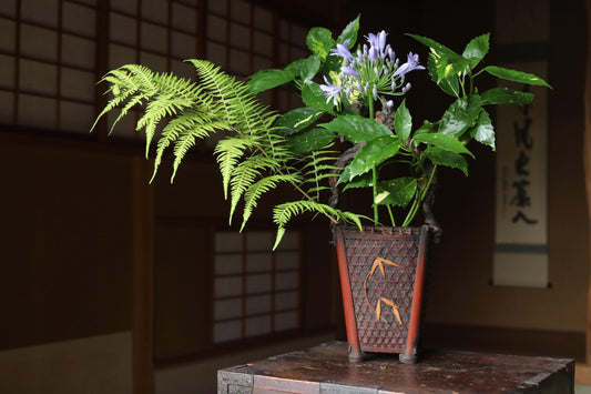 A potted plant with green ferns and purple flowers sits on a wooden table, with a traditional Japanese-style wall in the background.
