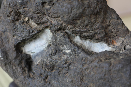a close-up view of a dark, rough-textured rock with a white, smooth, and curved edge.