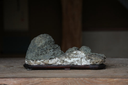 A large, gray rock sits on a wooden base, possibly a bonsai tree, in a dimly lit room.