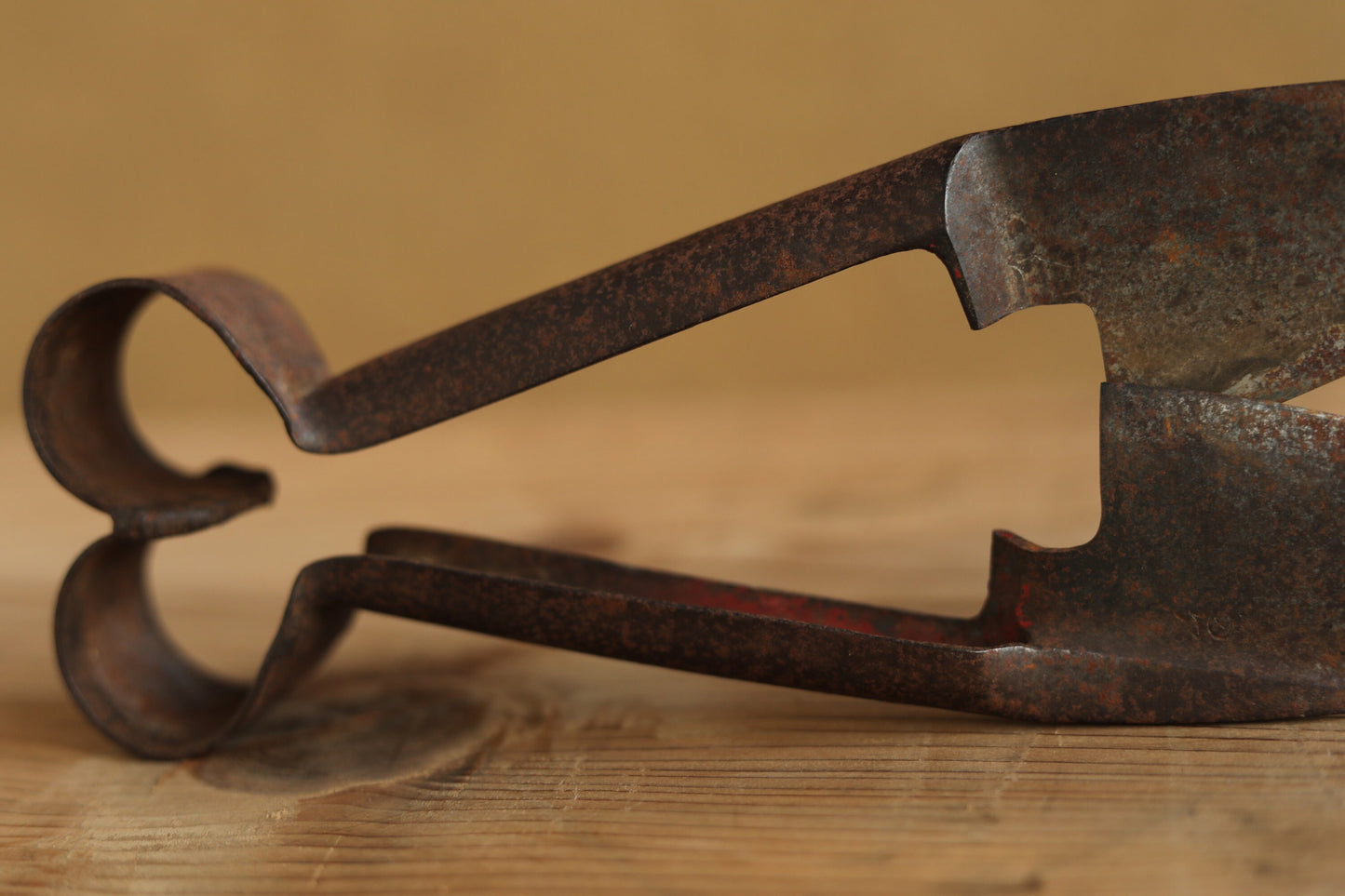 Japanese vintage pair of big scissors for wool shaving, Hokkaido new land pioneers tool in the beginning of 20th with Kanji, H11.8in