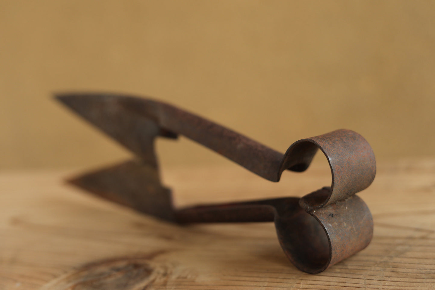 Japanese vintage pair of big scissors for wool shaving, Hokkaido new land pioneers tool in the beginning of 20th with Kanji, H11.8in