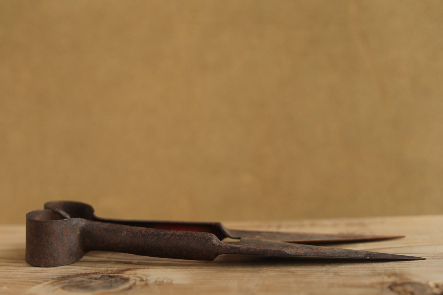 Japanese vintage pair of big scissors for wool shaving, Hokkaido new land pioneers tool in the beginning of 20th with Kanji, H11.8in