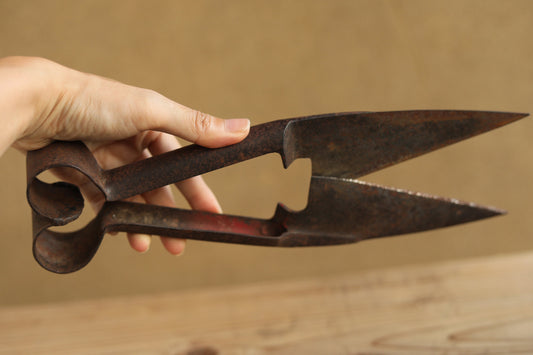 Japanese vintage pair of big scissors for wool shaving, Hokkaido new land pioneers tool in the beginning of 20th with Kanji, H11.8in