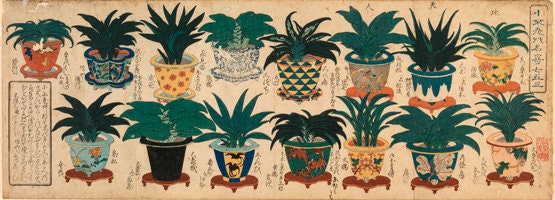 Japanese furniture antique orchid pot with three legs black gold, "Rakuyaki hachi", pottery pot with gold painting, H2.7×4.1in/H6.8×10.3cm
