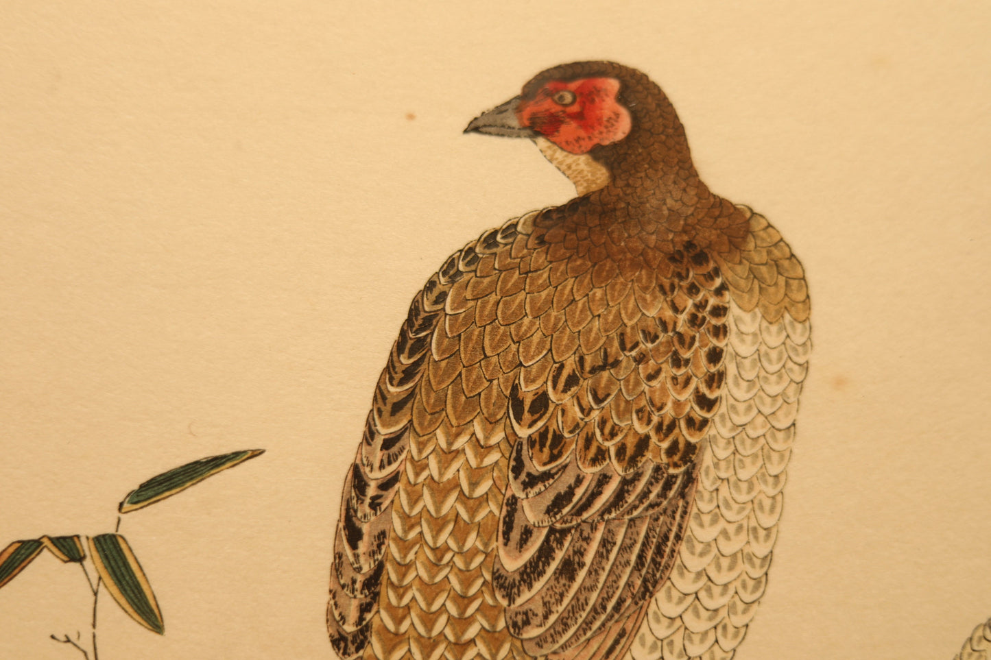Japanese vintage art of birds Wagtail, Copper Pheasant and Kanji calligraphy poem,block printing with flame, wall deco picture H16.3×W21.1in