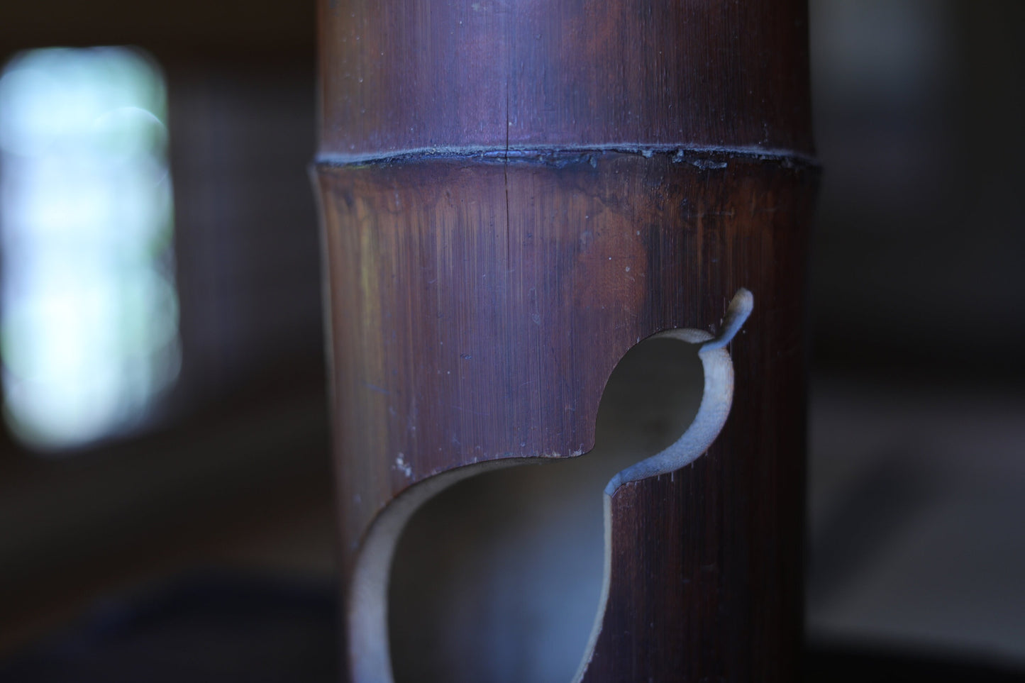 Japanese vintage bamboo vase with gourd curved design and Kanji calligraphy,IKEBANA, Tea ceremony Japanese furniture H11.8×4.1in/30×10.5cm