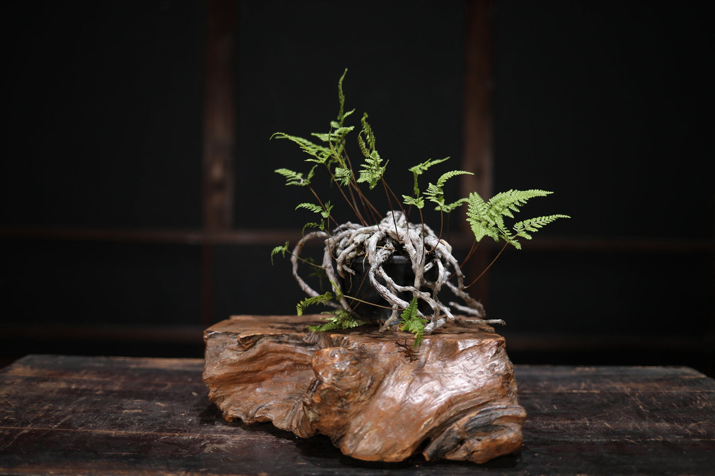 Wood slab Burl large Display Stand wooden pedestal BONSAI IKEBANA ornament stand H3.9×13×12.2in/H10×33×31cm Japanese antique furniture