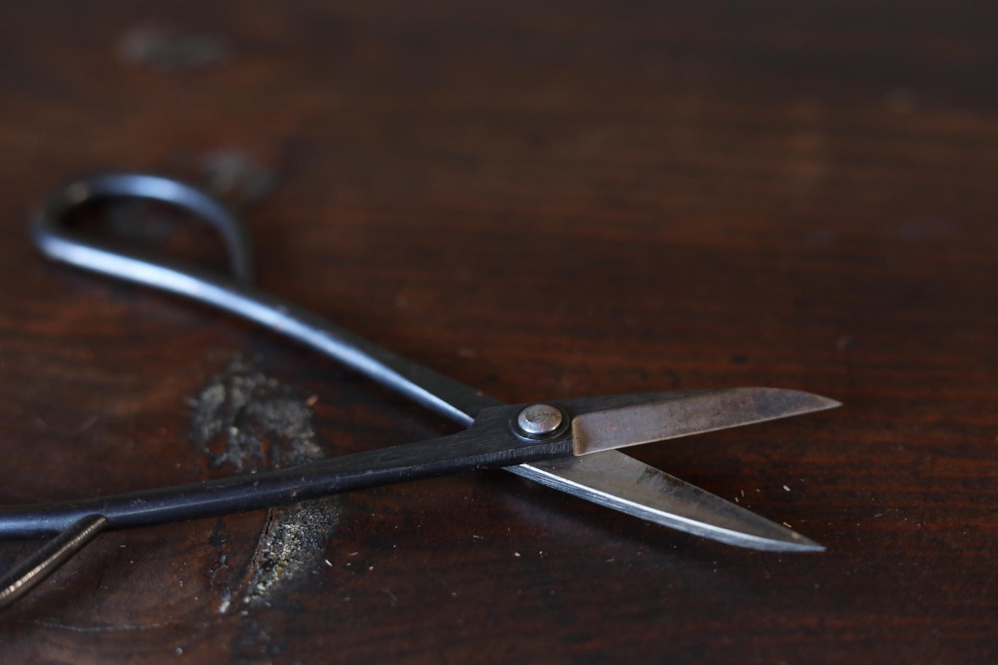 Japanese BONSAI shears "Satsuki hasami" IKEBANA tool, Japanese garden, high grade cutlery, cutting tools H7.3×2.6×0.4in/18.5x6.7x1cm