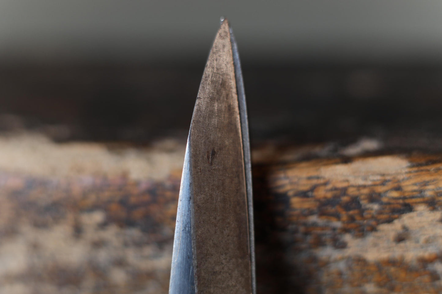 Japanese BONSAI shears "Satsuki hasami" IKEBANA tool, Japanese garden, high grade cutlery, cutting tools H8.3×2.8×0.6in/21x7x1.5cm