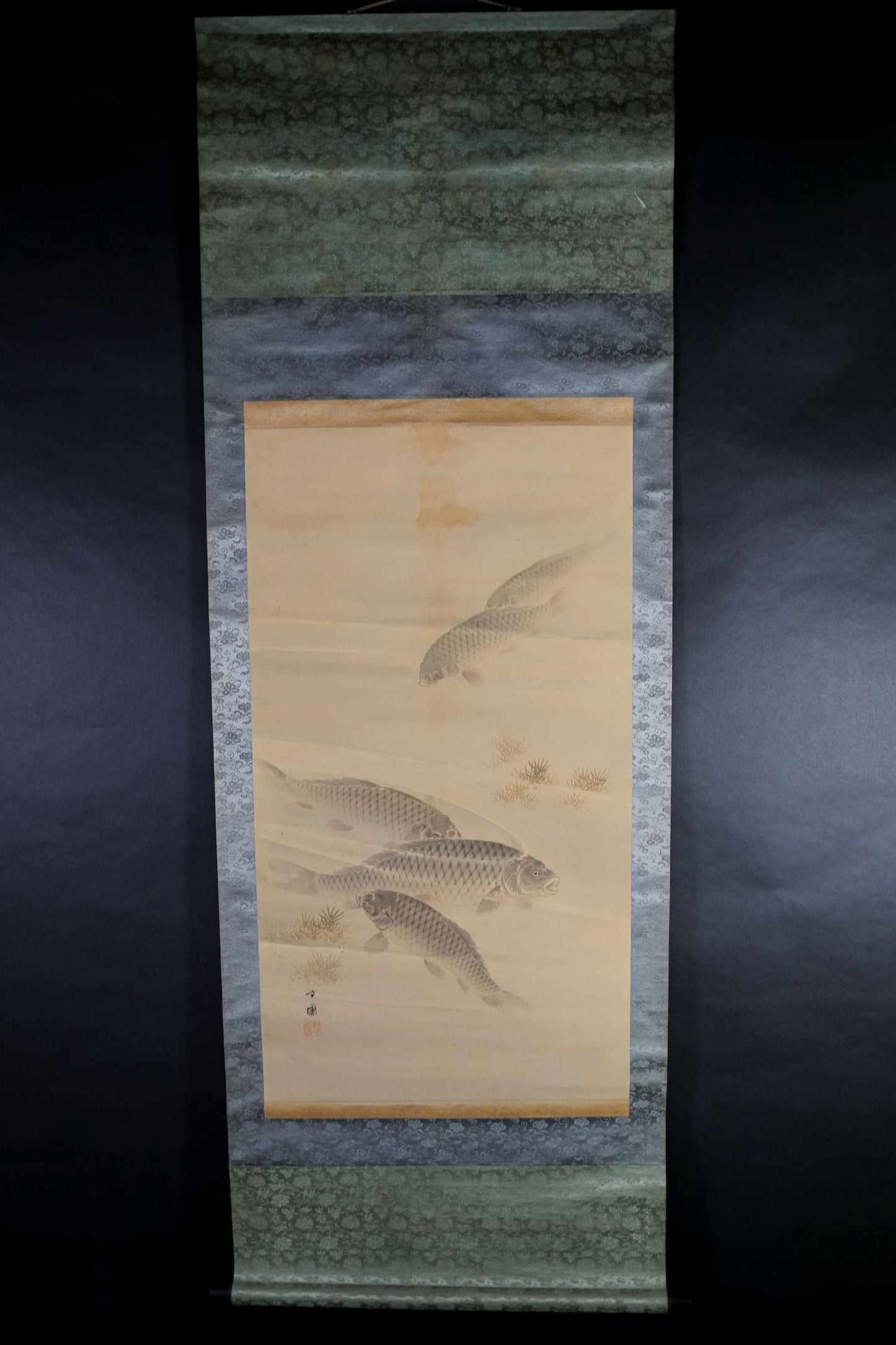 Japanese antique watercolor painting scroll fine painted carps KOI, KAKEJIKU with signature H67.7x24in / 172x61cm