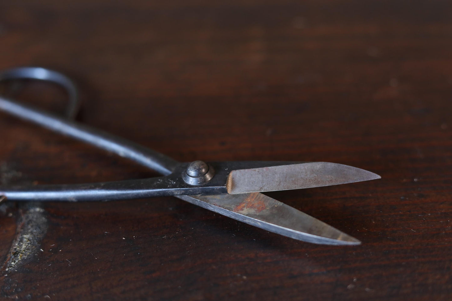 Japanese BONSAI shears "Satsuki hasami" IKEBANA tool, Japanese garden, high grade cutlery, cutting tools H8.3×2.8×0.6in/21x7x1.5cm