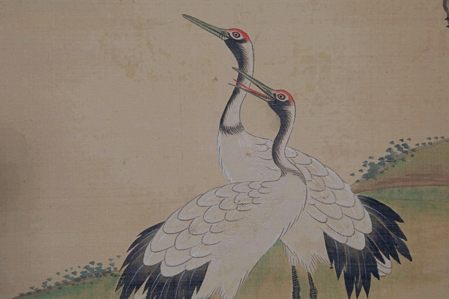 FINE! Japanese antique 1700s hanging scroll of water color painting by 藤原, a pair of cranes and pine tree with sign H68.5in/H174cm