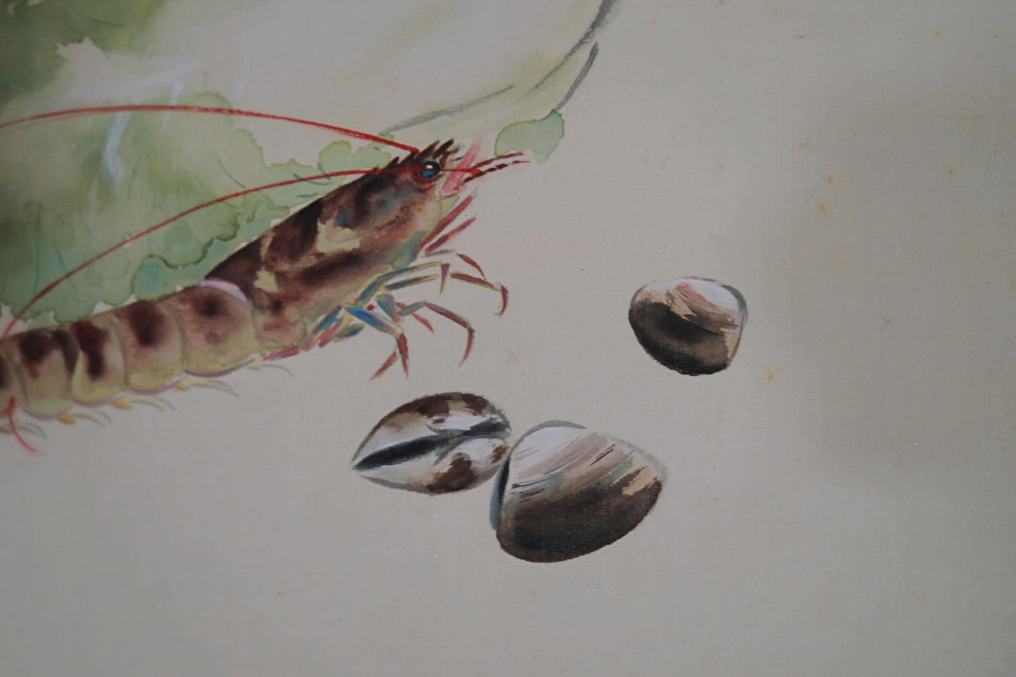 Japanese old watercolor painting scroll, seafood and vegetable ,early 19th hanging scroll Kakejiku with sign and BOX wall art H47.6in/121cm