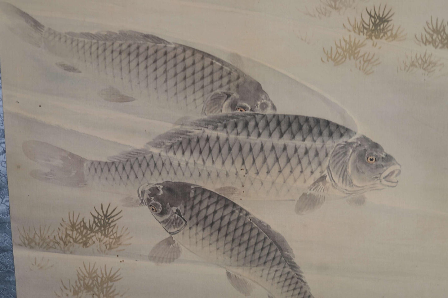 Japanese antique watercolor painting scroll fine painted carps KOI, KAKEJIKU with signature H67.7x24in / 172x61cm