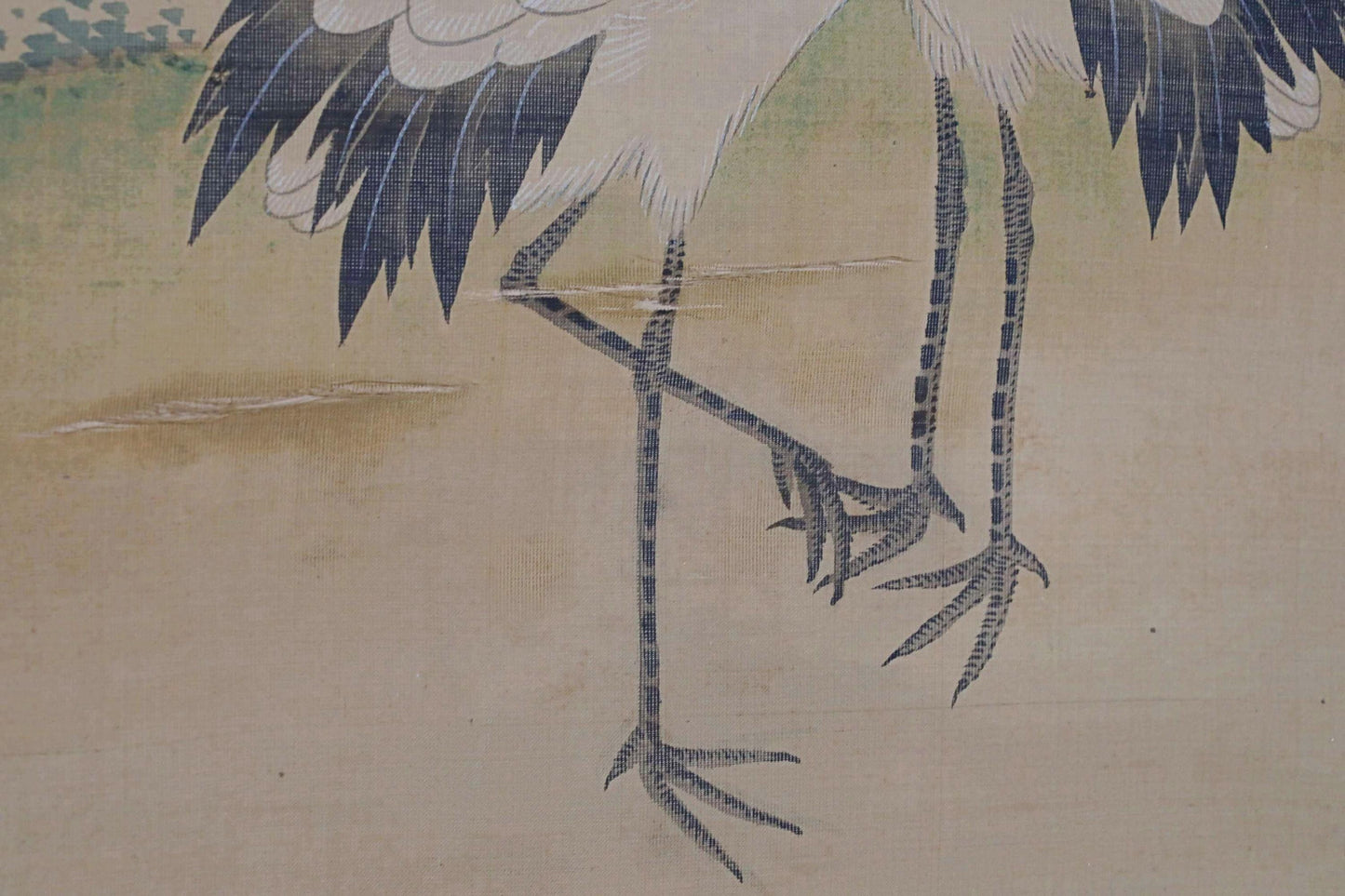 FINE! Japanese antique 1700s hanging scroll of water color painting by 藤原, a pair of cranes and pine tree with sign H68.5in/H174cm