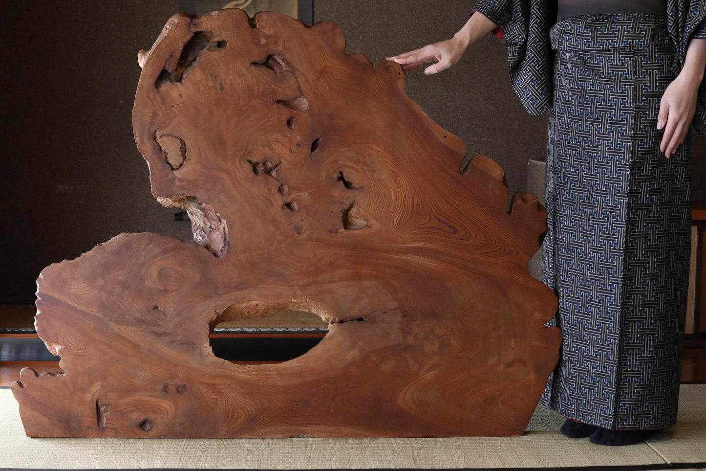 BIG! Japanese old wood "Keyaki" zelkova tree, large tree stump, Japanese furniture, beautiful grain art, wood slab Burl, H36.6×W47.2in