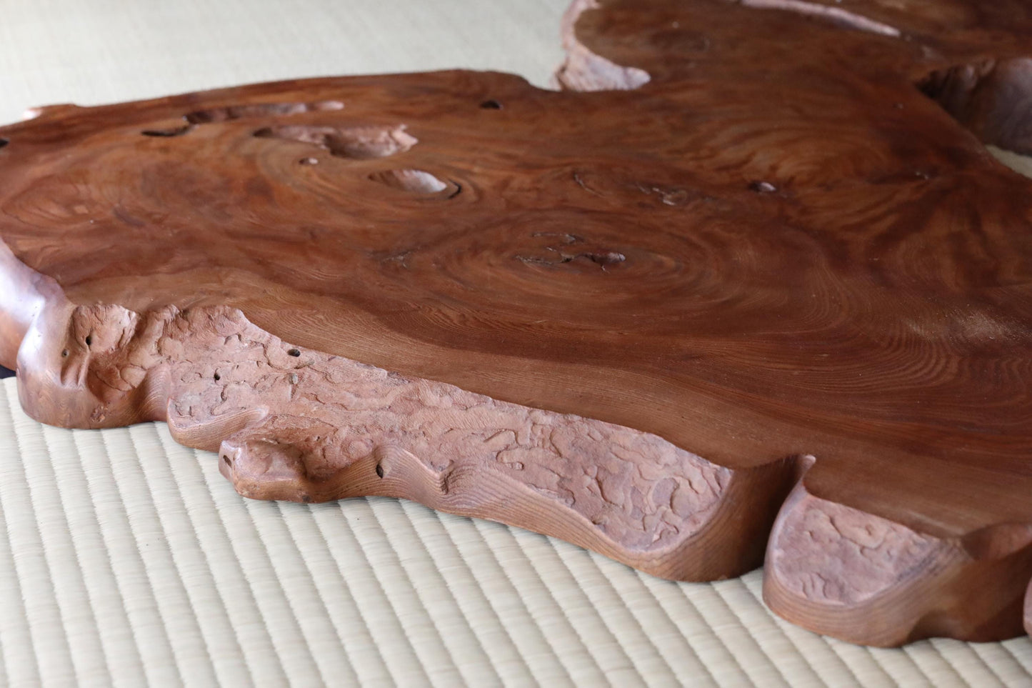 BIG! Japanese old wood "Keyaki" zelkova tree, large tree stump, Japanese furniture, beautiful grain art, wood slab Burl, H36.6×W47.2in