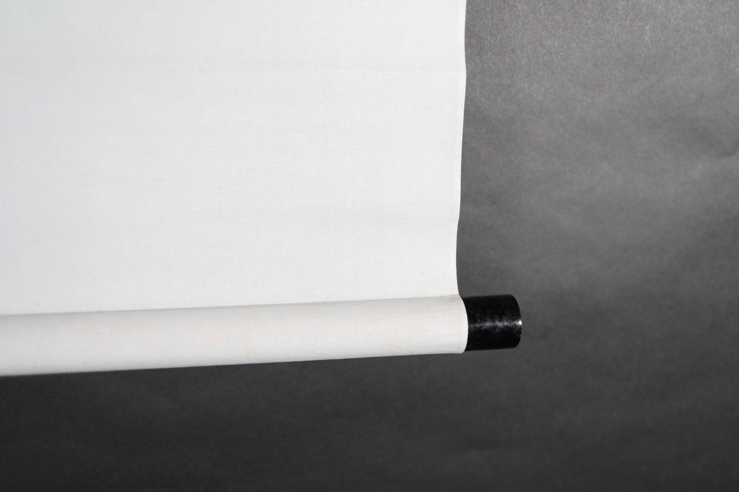 Japanese vintage hanging scroll of water color painting, a pair of cranes, celebrating a new year Kakejiku furniture H49.2×20.1in / 125x51cm