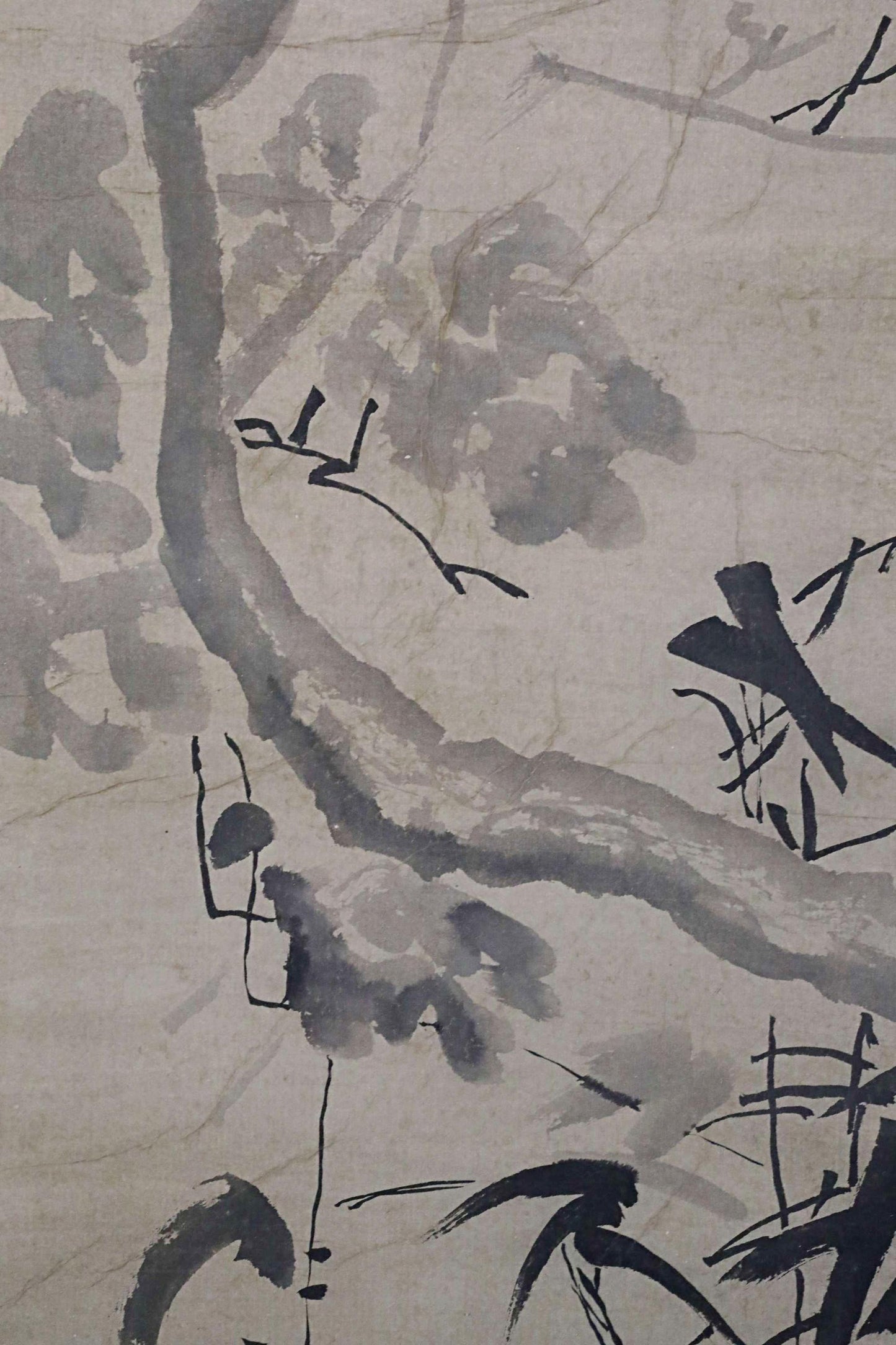 Japanese Chinese antique 1900s hanging scroll of India-ink painting ,crow on tree with sign KAKEJIKU H70.5in/179cm