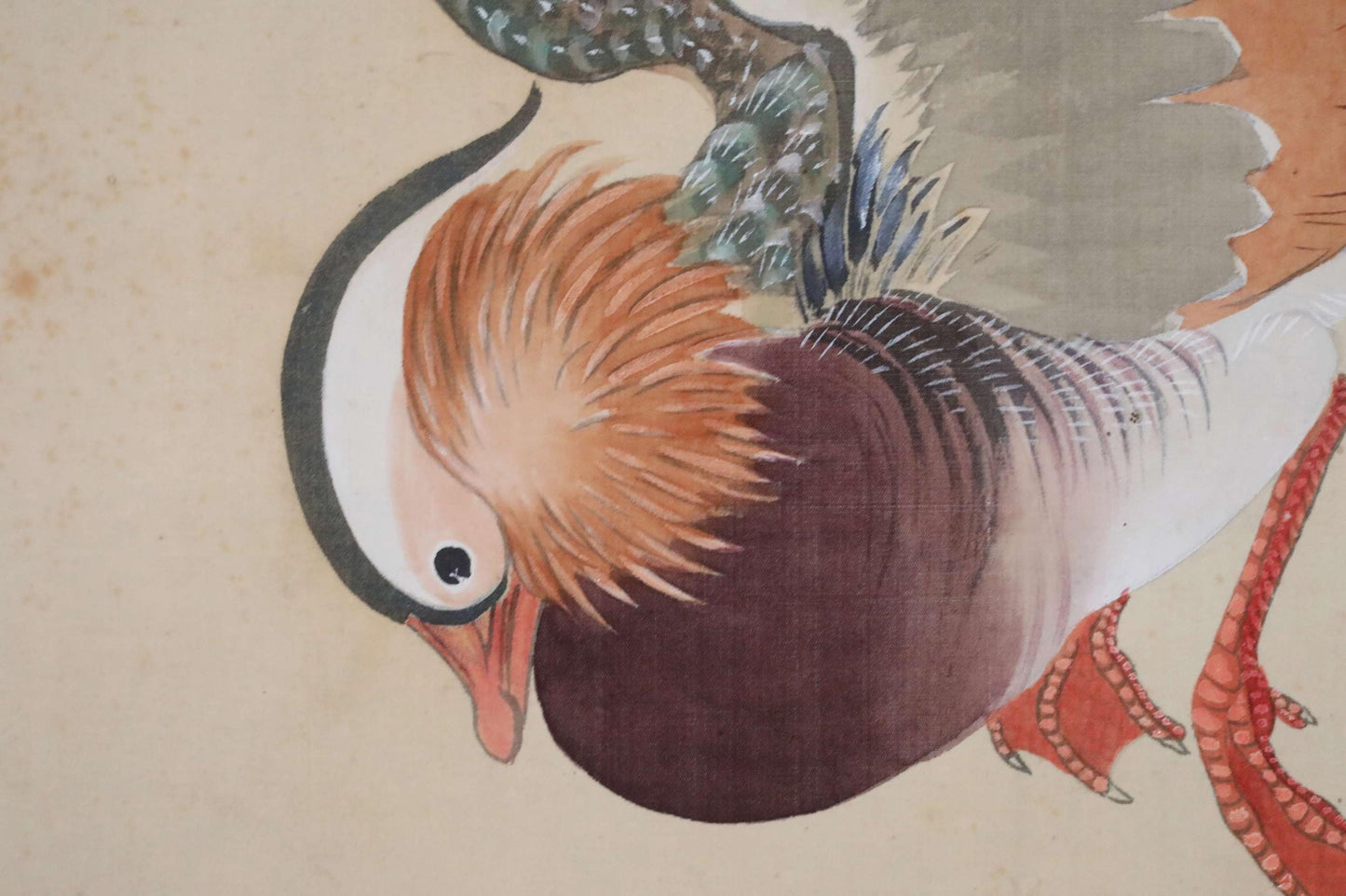 FINE! Japanese antique 1930s hanging scroll of water color painting by Keiho, pair of mandarin ducks bamboo leaves with sign H73.6in/H187cm