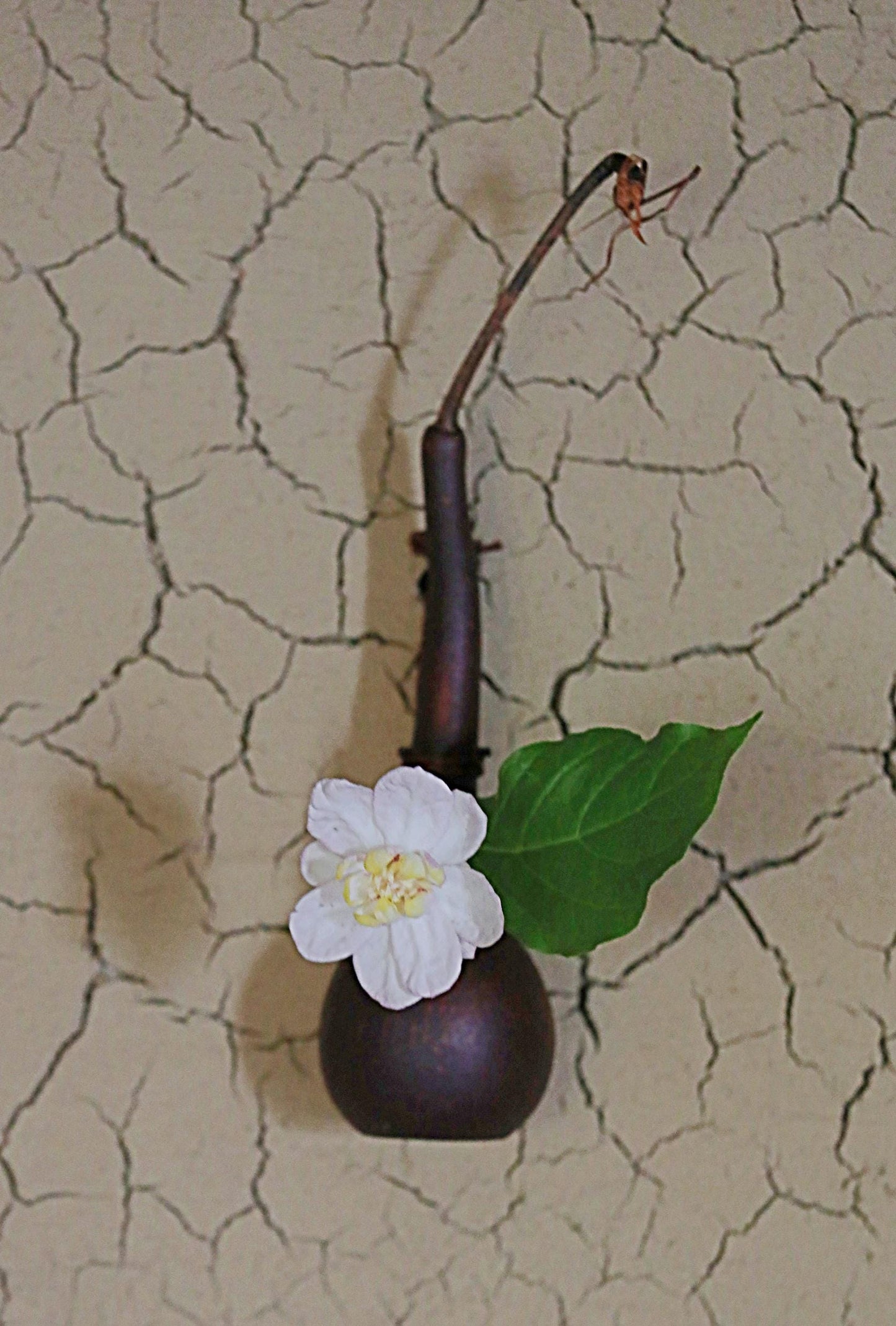 RARE! Japanese antique very light vase floral organs hand made of natural GOURD bottle with vine, wooden box, Tea ceremony H11×2.8in /28x7cm