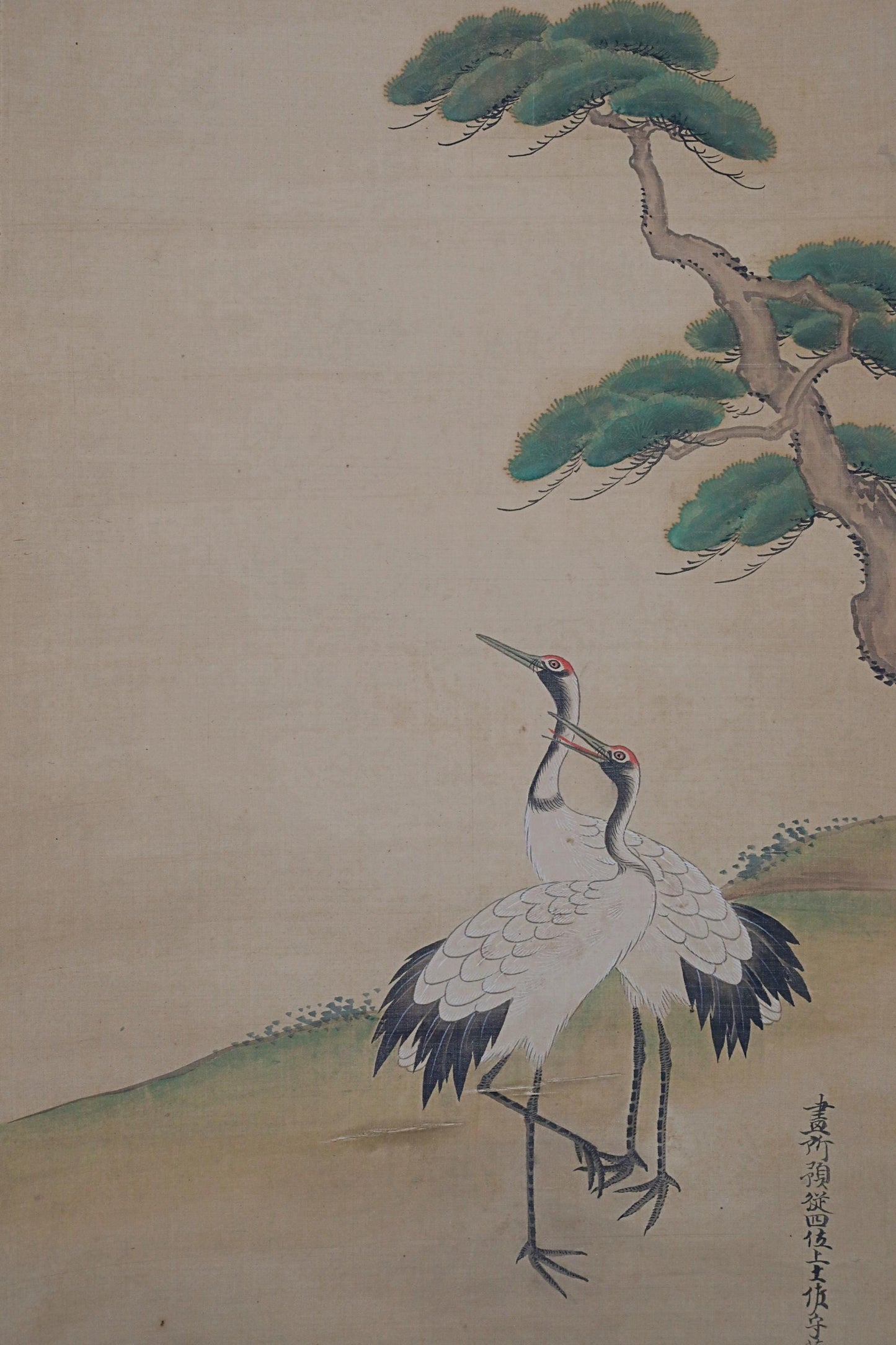 FINE! Japanese antique 1700s hanging scroll of water color painting by 藤原, a pair of cranes and pine tree with sign H68.5in/H174cm