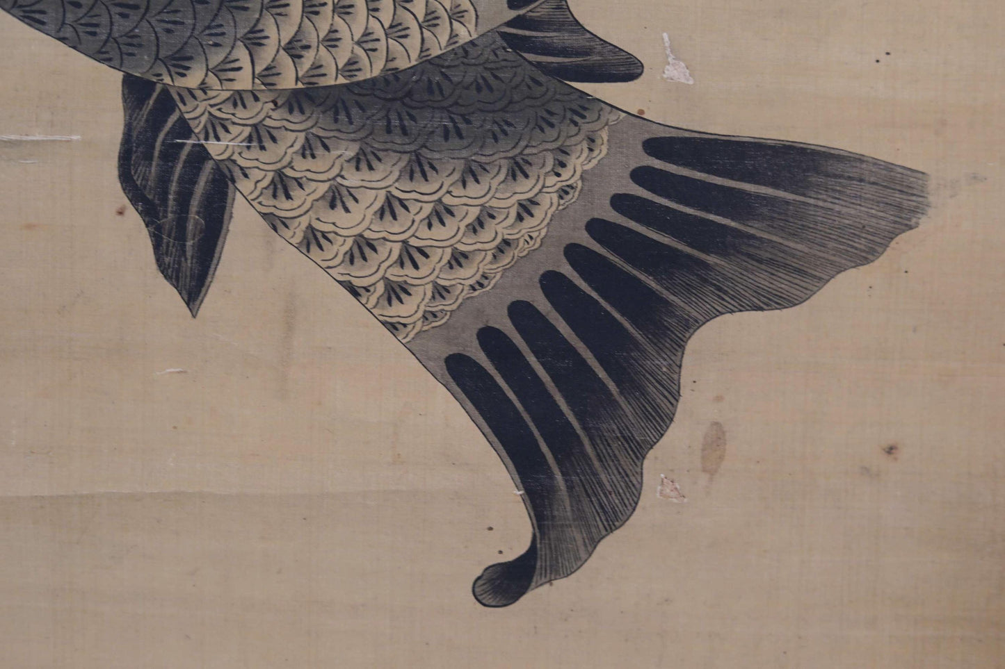 FINE! Japanese antique 1800s watercolor painting scroll fine painted fish carps, KAKEJIKU with signed seal H64.2in/H163cm