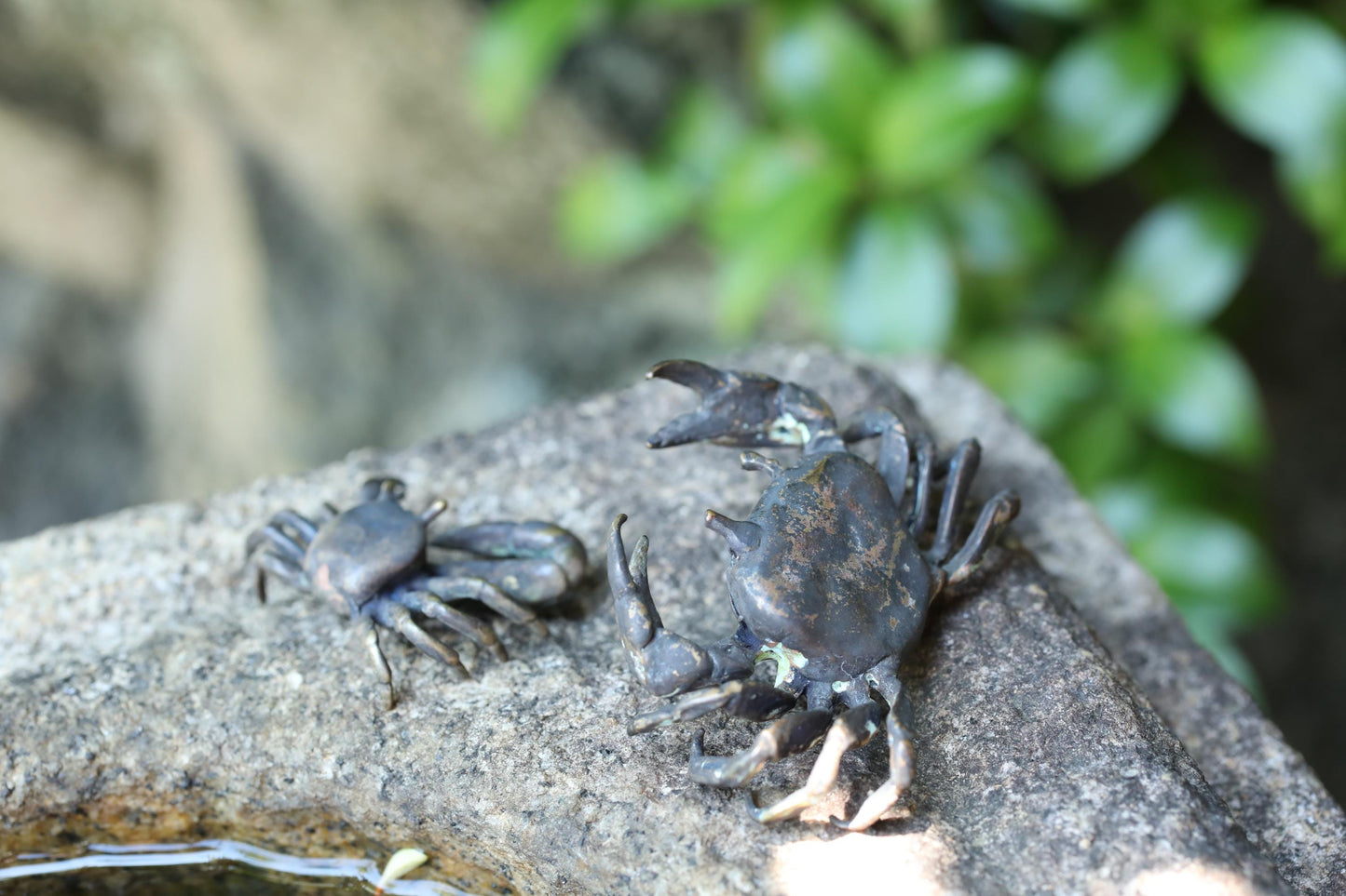 Fine! Japanese vintage bronze Crab family mini small dolls for IKEBANA/ BONSAI / BONKEI Miniature Landscapes art 0.8×2.2in/2×5.5cm