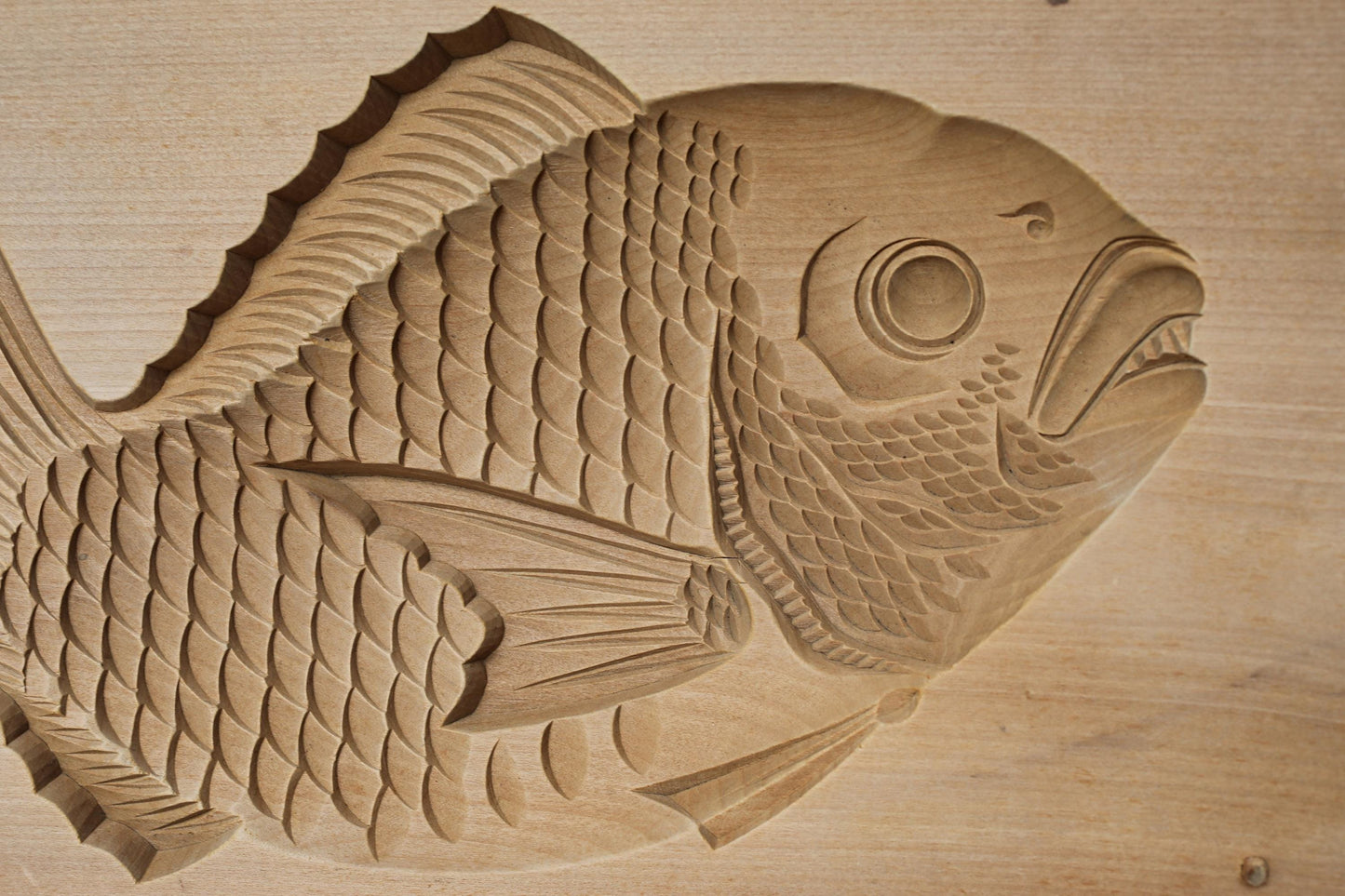 LARGE! Sea bream wooden hand carved Sweets mold Japanese Vintage "Kashigata" , TAI fish ornament furniture H7.5×W17.6in/H19×44.7cm