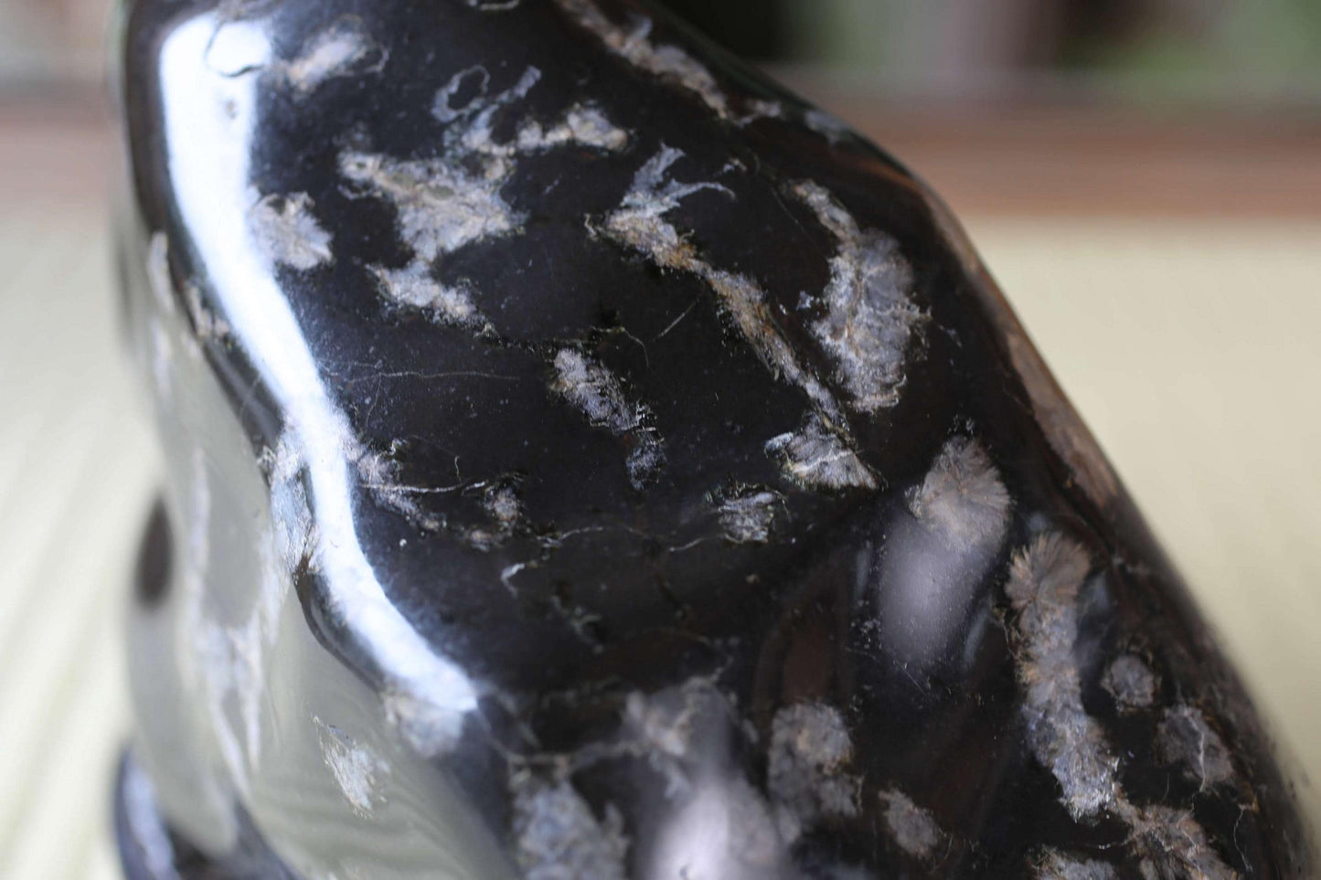 a close-up view of a black, speckled surface with a textured appearance.
