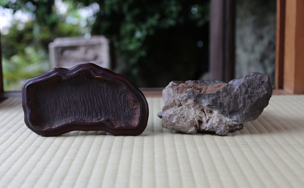 two rocks, one larger and one smaller, placed on a white surface.