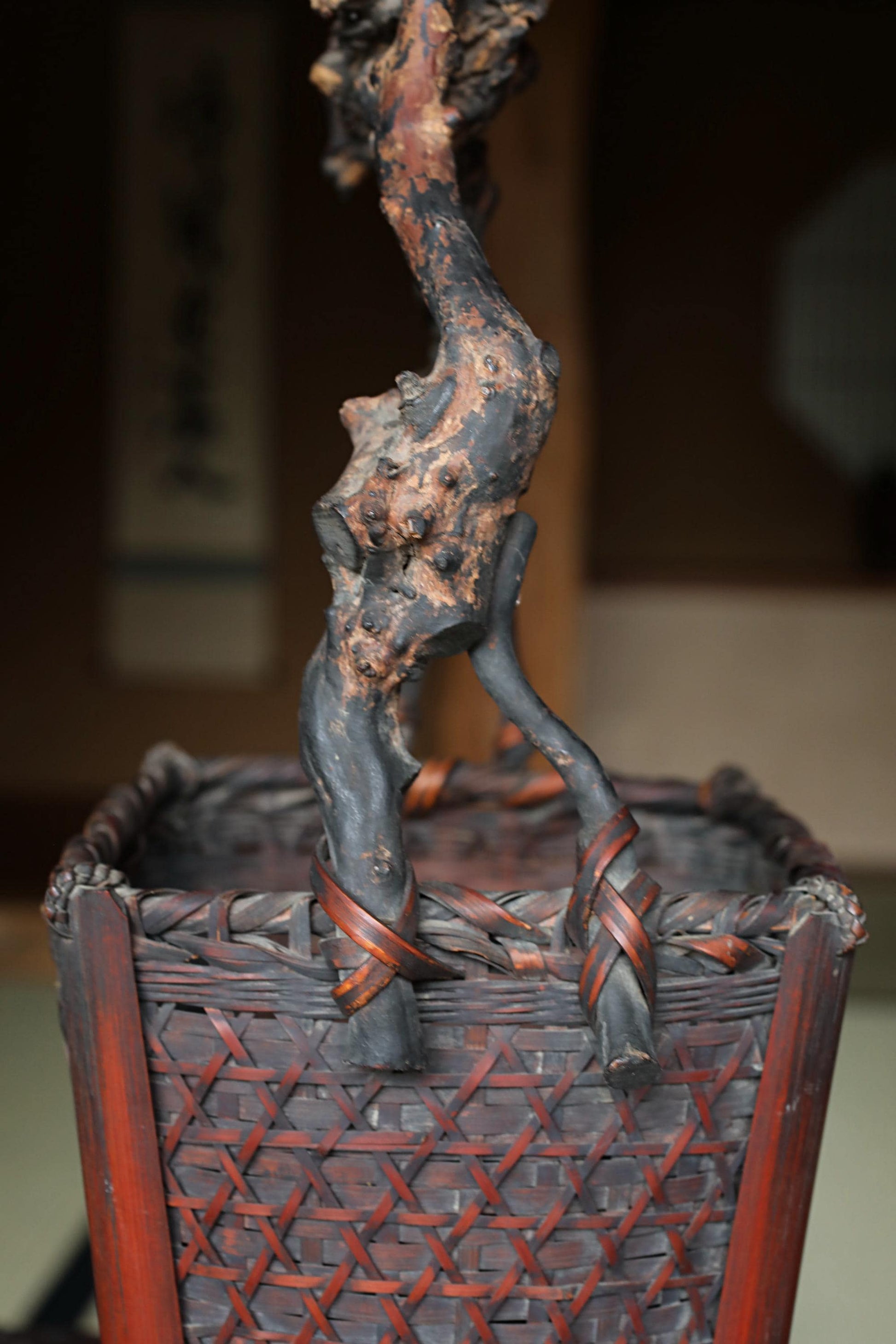 A close-up image of a wooden basket with a twisted, gnarled branch protruding from it, set against a blurred background.
