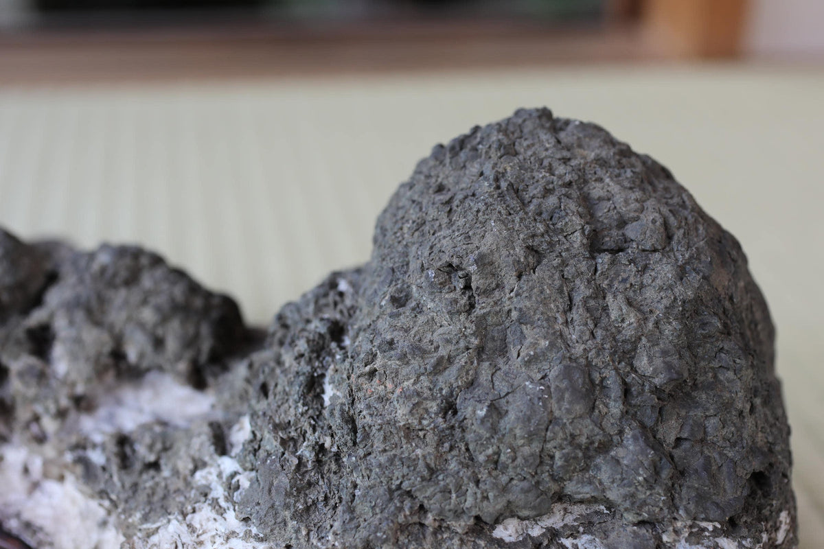 A close-up image of a large, rough-textured rock or stone, with a blurred background.