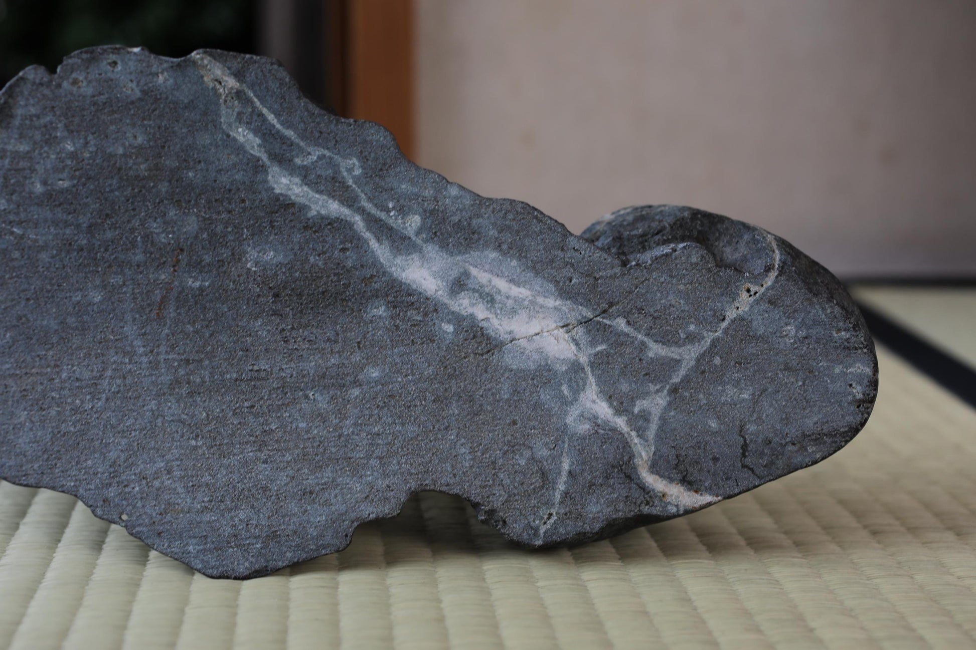 a close-up view of a dark gray rock with a white streak running across it, resting on a textured surface.