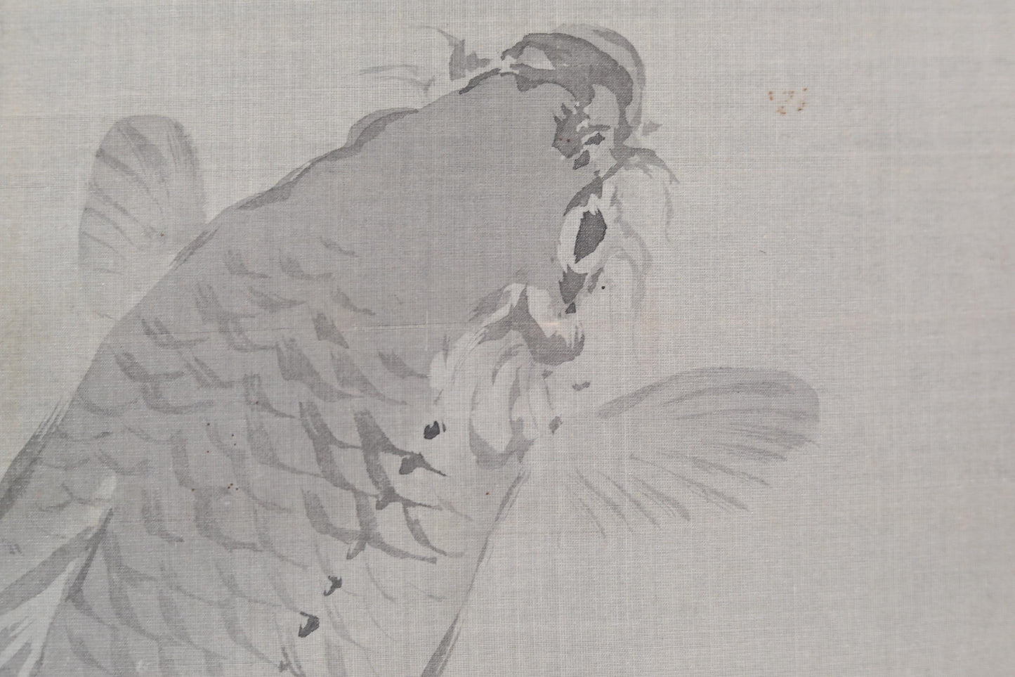 Japanese Koi Scroll - Antique Hanging Scroll Silk Paper with Watercolor Carp Painting