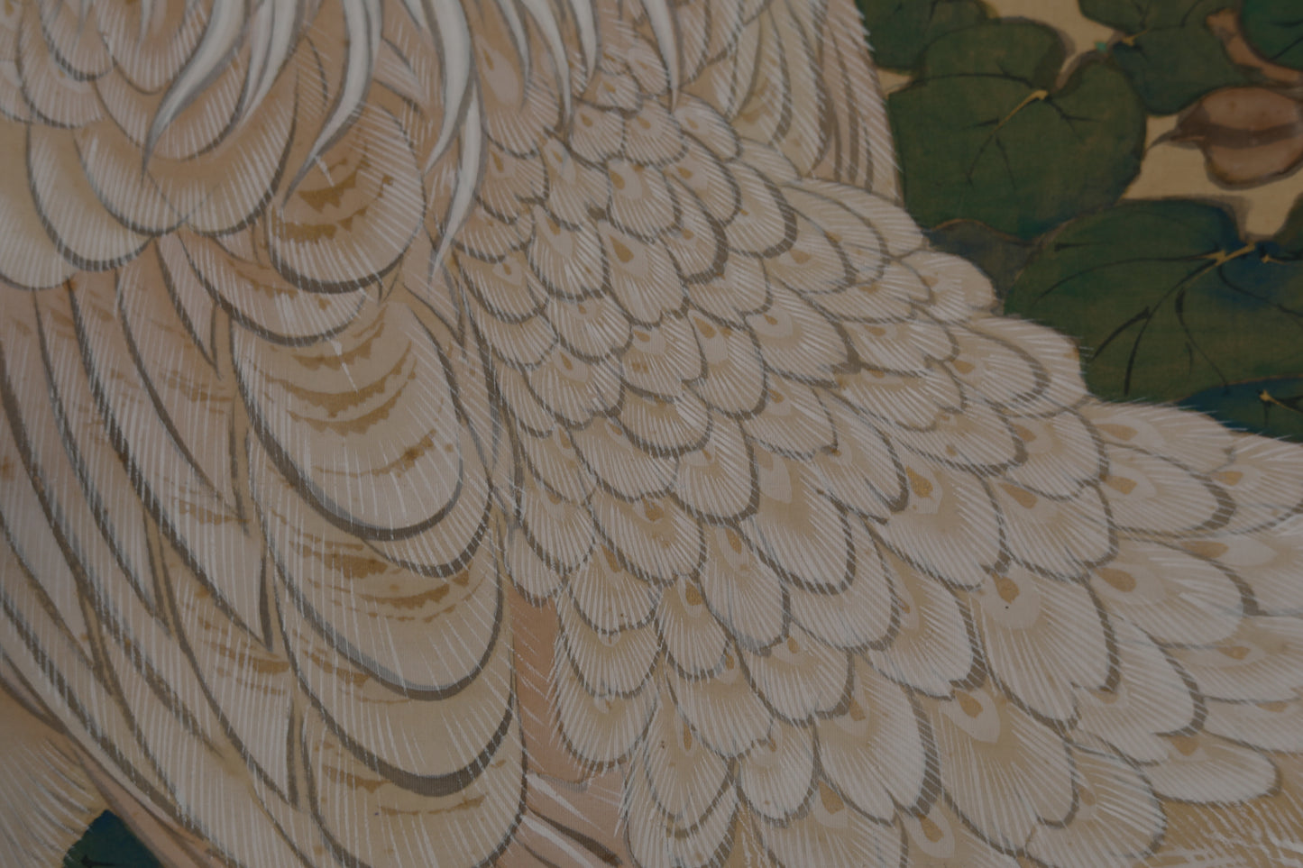 Scroll Painting- Japanese antique water color phoenix on Paulownia flower with signed 1920s Kakejiku H79in/201cm