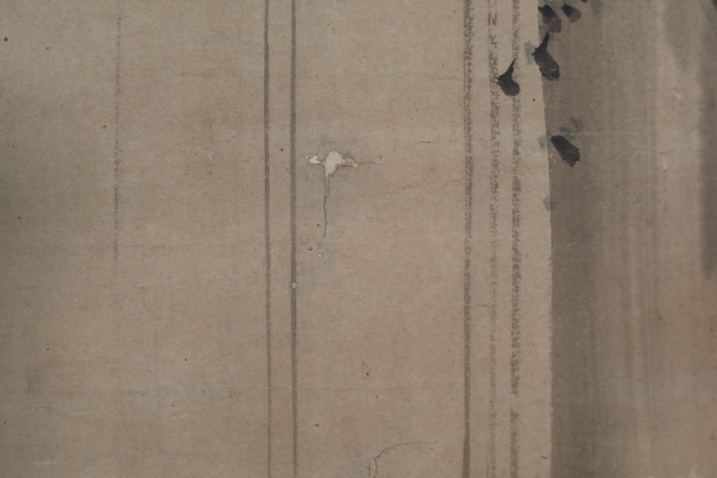 Scroll Painting- Antique Kano School Carp Watercolor , Japanese Kakejiku, Kano Signed