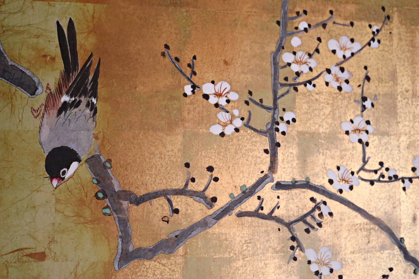FINE! Japanese antique 1900s furniture Byobu folding screen of water color painting,  plum blossom birds and flowers with gold H69.3in/H176cm