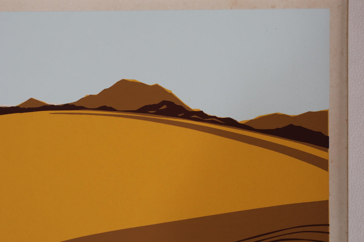 a desert landscape with mountains in the background.