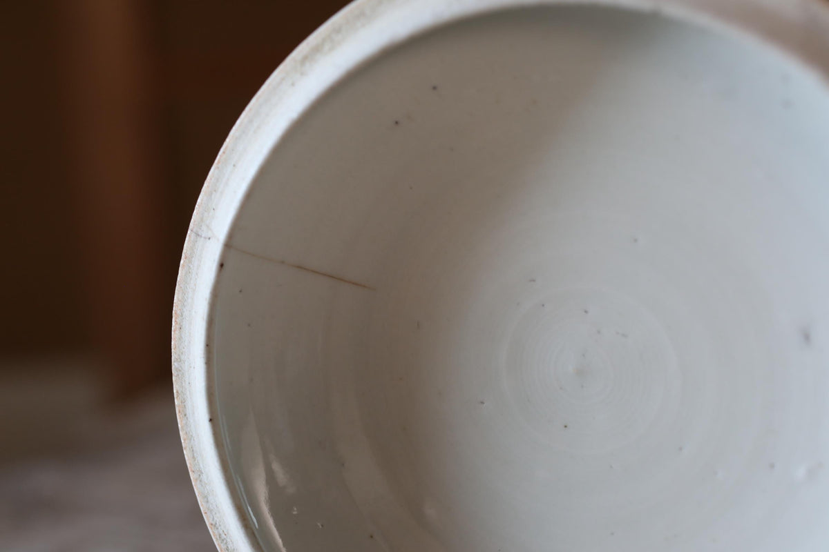 A close-up view of a white ceramic bowl with a visible crack in the rim.