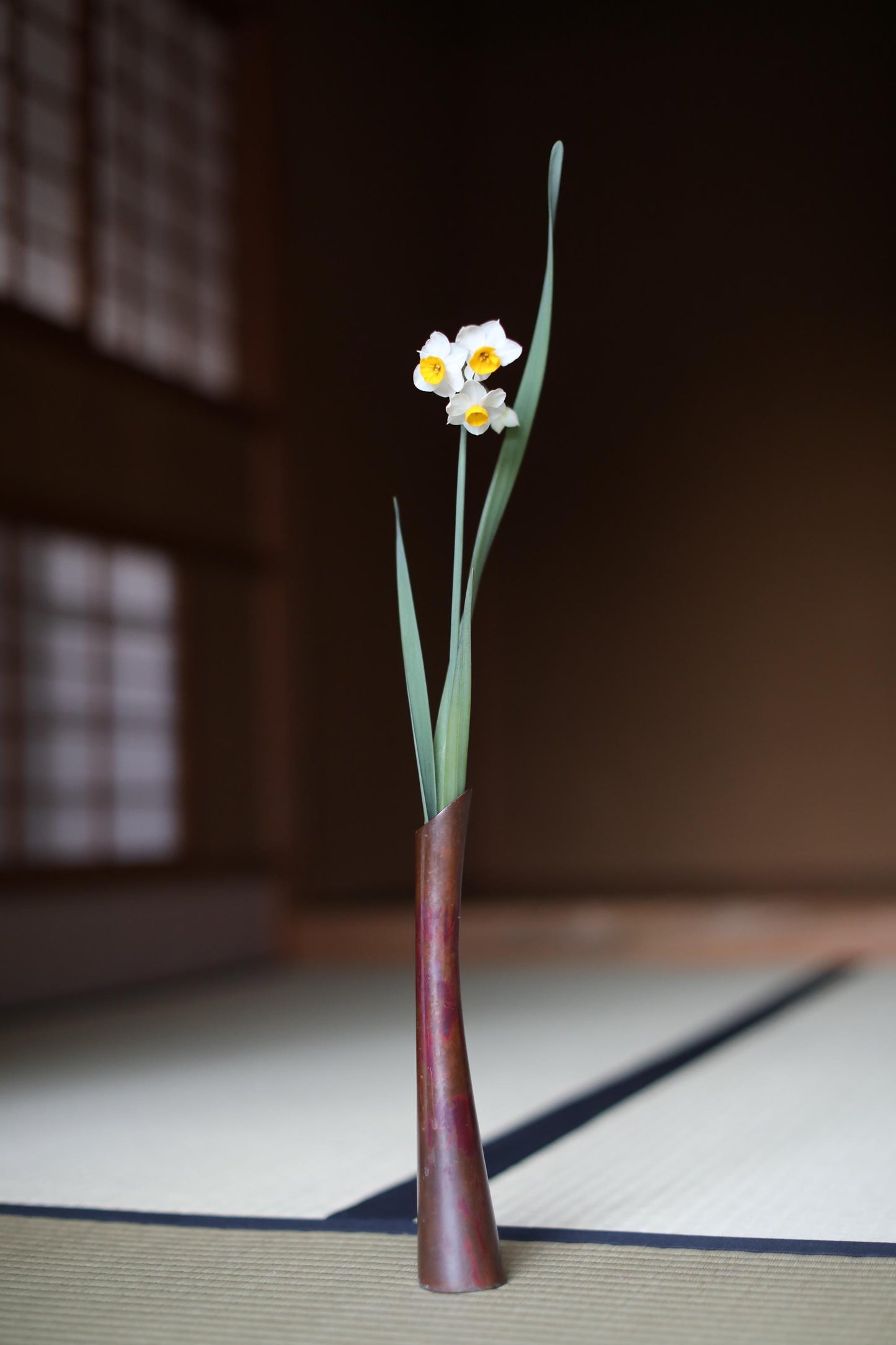 A single white and yellow daffodil flower in a brown vase is placed on a white mat against a dark background.