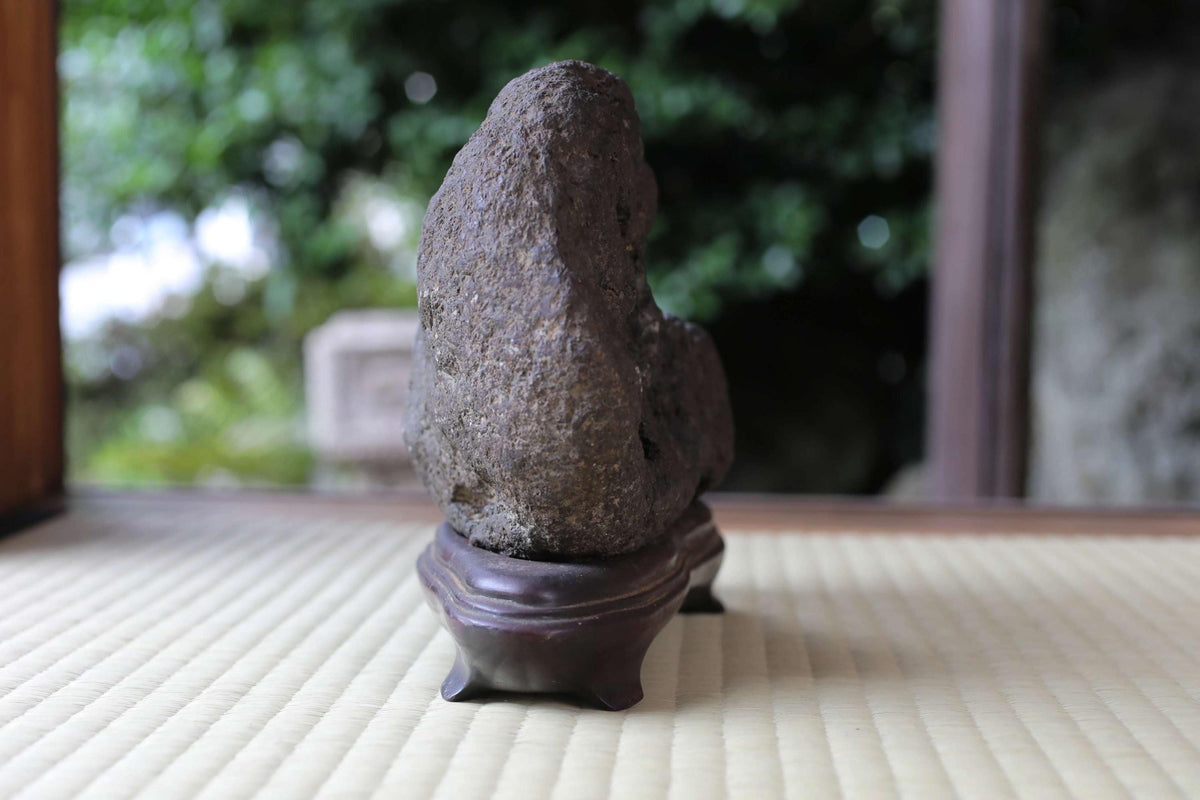 A large, dark-colored rock sits on a wooden stand in a garden setting, surrounded by greenery.