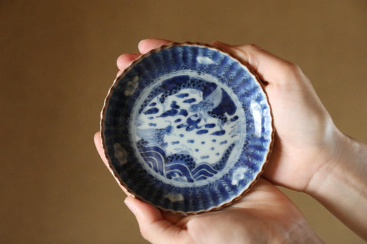 A person's hands holding a blue and white porcelain plate with an intricate floral design.