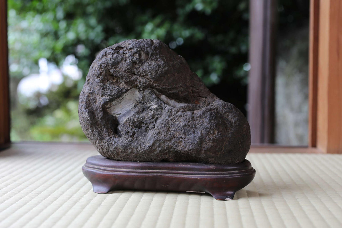 A large, dark rock sits on a wooden stand in a garden setting, with a blurred background of greenery.