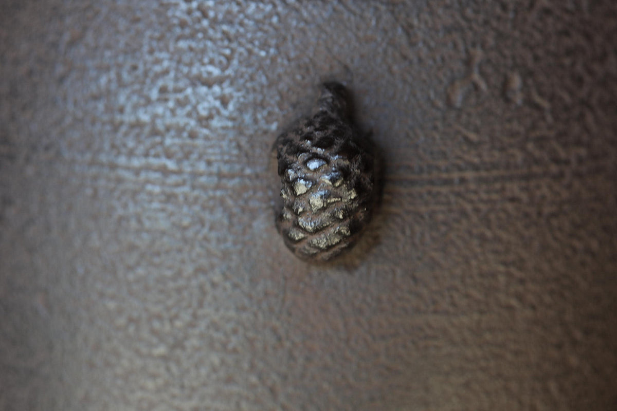 A close-up image of a small, dark object, possibly a pine cone or seed, resting on a textured surface.