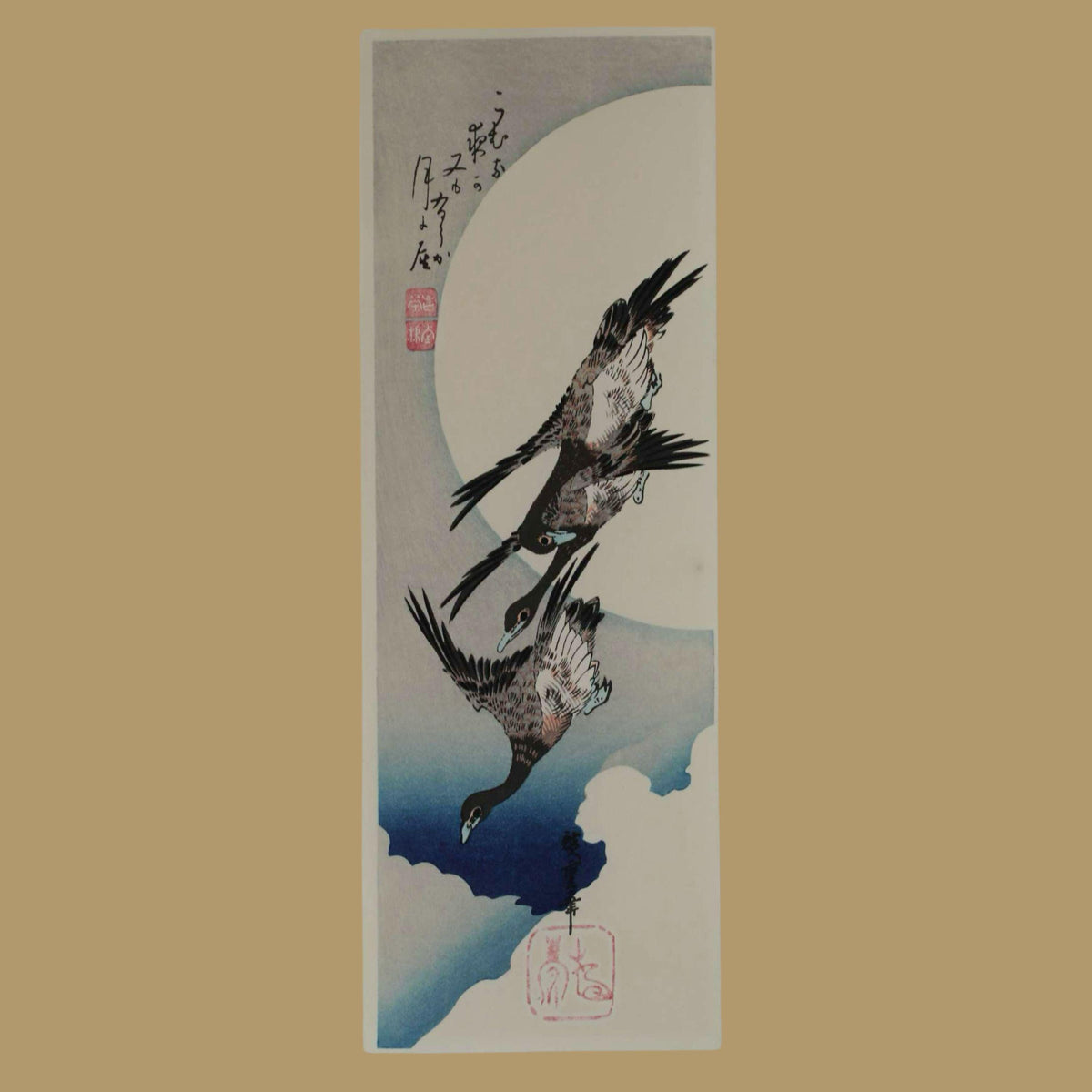 two birds in flight against a cloudy sky background.