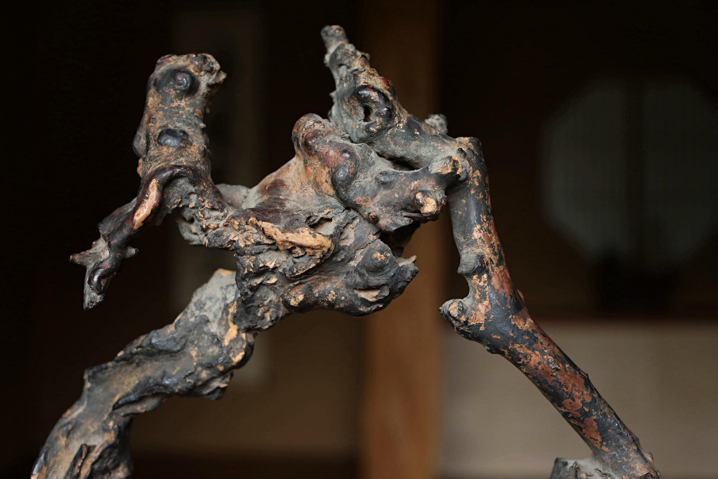 a close-up view of a weathered, twisted, and gnarled piece of art, possibly a sculpture or a piece of driftwood.