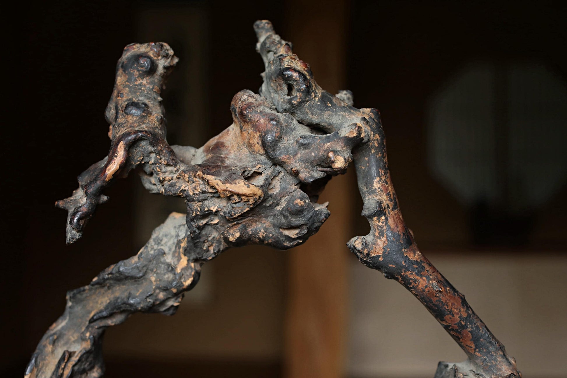 a close-up view of a weathered, twisted, and gnarled piece of art, possibly a sculpture or a piece of driftwood.